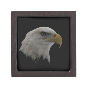American Eagle Leadership Motivational Jewellery Box