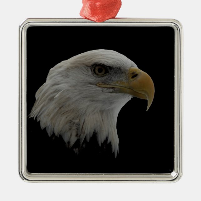 American Eagle Leadership Motivational Metal Tree Decoration (Front)