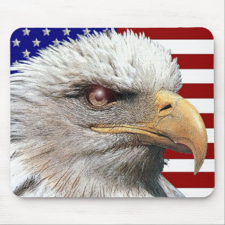 American eagle mouse mat