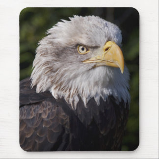 American Eagle Mousemat