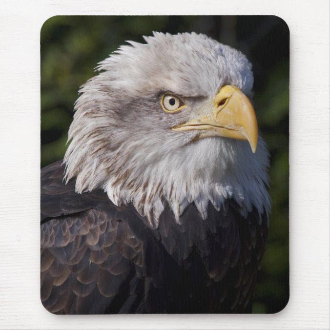 American Eagle Mousemat (Front)
