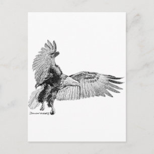 American Eagle Postcard
