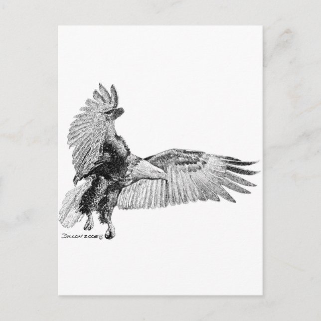 American Eagle Postcard (Front)