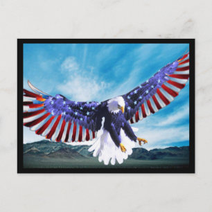 American Eagle Postcard 2
