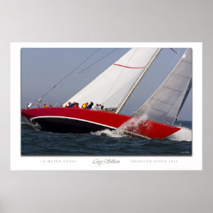 American Eagle Poster