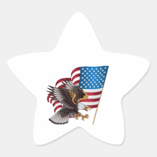american eagle star sticker