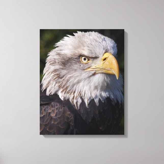 American Eagle Wrapped Canvas Print (Front)