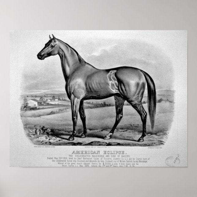 American Eclipse Poster (Front)