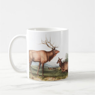 American Elk (Cervus Canadensis) Illustration Coffee Mug