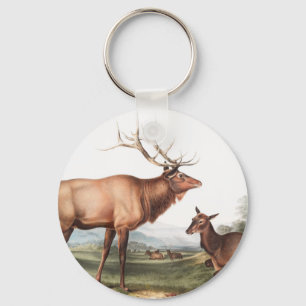 American Elk (Cervus Canadensis) Illustration Key Ring
