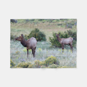 American Elk   Colorado Fleece Blanket