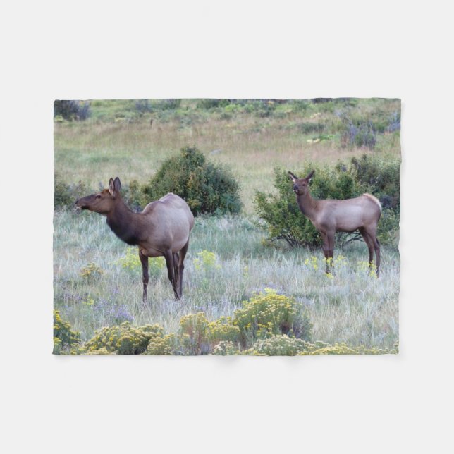 American Elk | Colorado Fleece Blanket (Front (Horizontal))