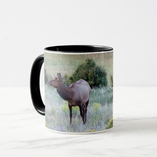 American Elk | Colorado Mug (Front Left)