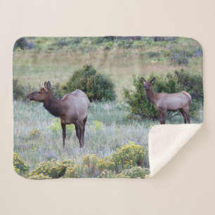 American Elk Colorado Sherpa Blanket