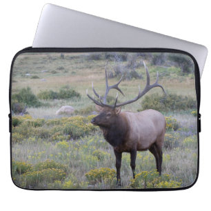 American Elk Rocky National Park, Colorado Laptop Sleeve