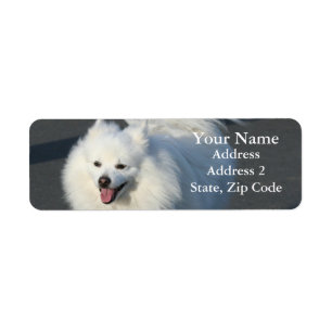 American Eskimo Address Labels