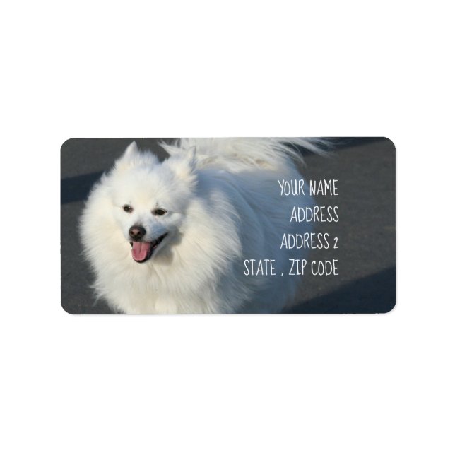 American Eskimo address labels (Front)