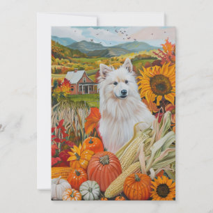 American Eskimo Autumn Harvest Thanksgiving Dog Holiday Card