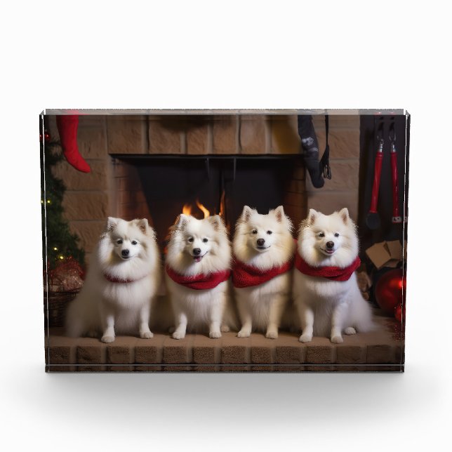 American Eskimo by the Fireplace Christmas Photo Block (Front)