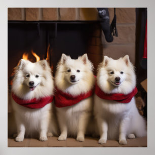 American Eskimo by the Fireplace Christmas Poster