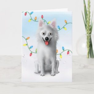 American Eskimo Christmas Holiday Card