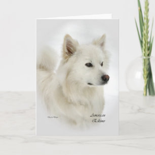 American Eskimo Dog Art Gifts Card