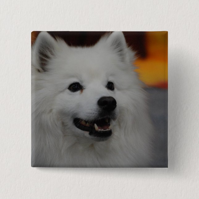 American Eskimo Dog Button (Front)