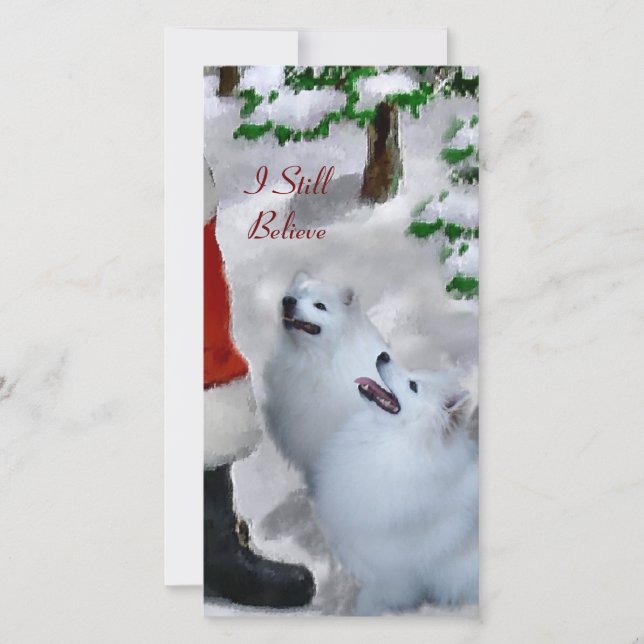 American Eskimo Dog Christmas Gifts Holiday Card (Front)