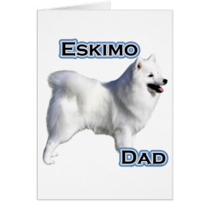 American Eskimo Dog Dad 4