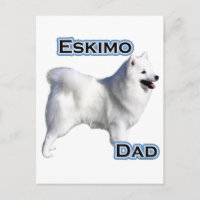 American Eskimo Dog Dad 4