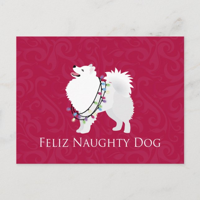 American Eskimo Dog Feliz Naughty Dog Christmas Holiday Postcard (Front)