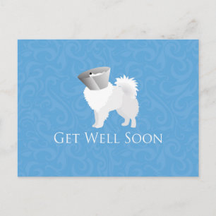 American Eskimo Dog Get Well Soon Design Postcard