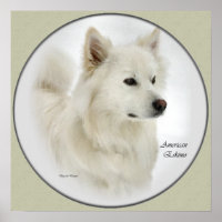 American Eskimo Dog Gifts Art