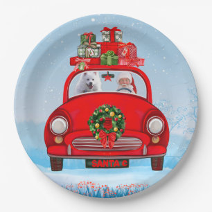American Eskimo Dog In Car With Santa Clause  Paper Plate