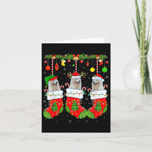 American Eskimo Dog In Christmas Socks Funny Dog L Card