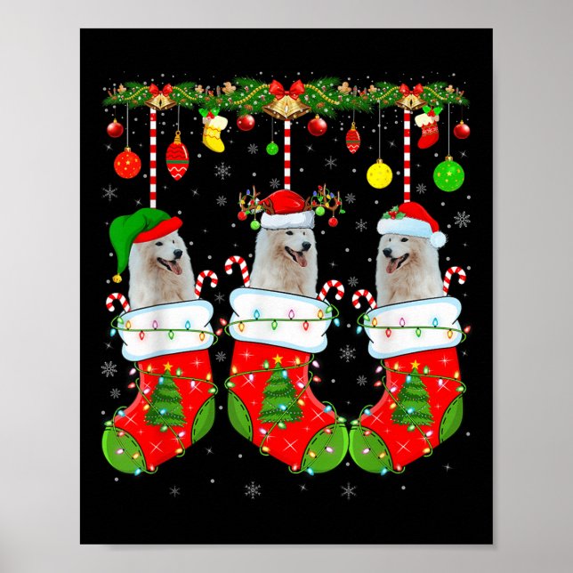 American Eskimo Dog In Christmas Socks Funny Dog L Poster (Front)