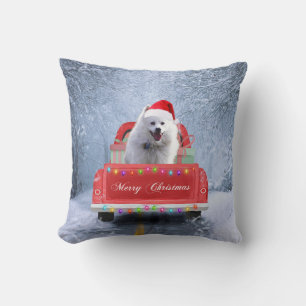 American Eskimo Dog in Snow sitting in Christmas  Cushion