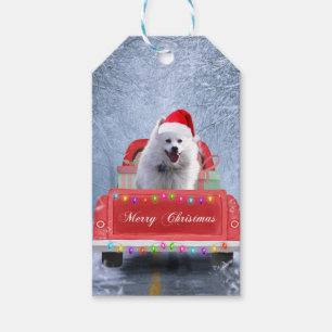 American Eskimo Dog in Snow sitting in Christmas Gift Tags