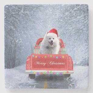 American Eskimo Dog in Snow sitting in Christmas Stone Coaster