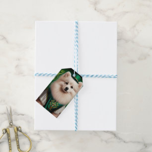 American Eskimo dog in St. Patrick's Day Dress Gift Tags