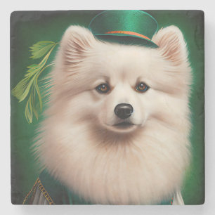 American Eskimo dog in St. Patrick's Day Dress Stone Coaster