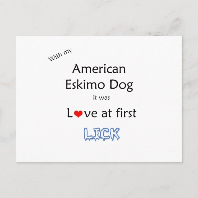 American Eskimo Dog Lick Design Postcard (Front)