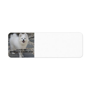 American_Eskimo_Dog_love w pic