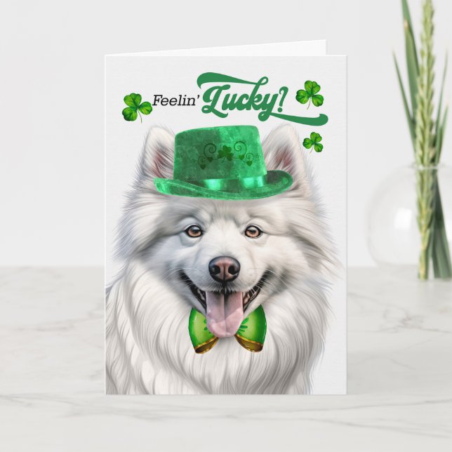 American Eskimo Dog Lucky St Patrick's Day Holiday Card (Front)