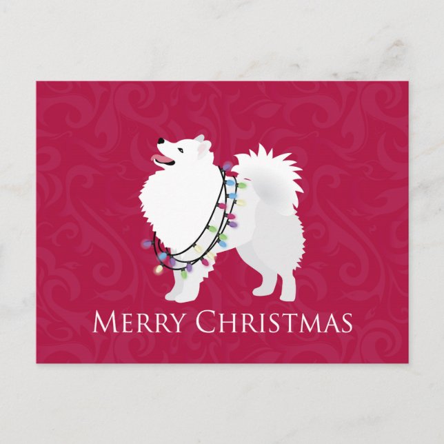 American Eskimo Dog Merry Christmas Design Holiday Postcard (Front)