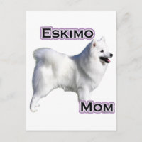 American Eskimo Dog Mum 4