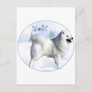 American Eskimo Dog Noel Holiday Postcard
