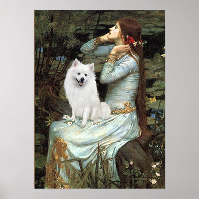 American Eskimo Dog - Ophelia Seated Poster (Front)