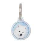 American Eskimo Dog Painting - Original Dog Art