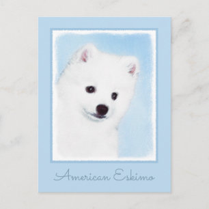 American Eskimo Dog Painting - Original Dog Art Postcard